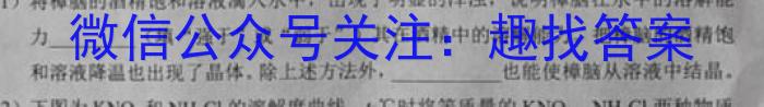 九师联盟 2023年江西省高一期末联考化学