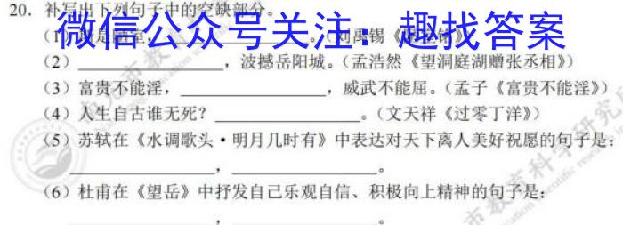 天一大联考·皖豫名校联盟2022-2023学年(下)高二年级阶段性测试(期末)语文