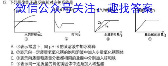 陕西省2022~2023学年度八年级期末学科素养监测(23-CZ225b)化学