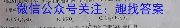 安徽省芜湖市弋江区2022-2023学年度七年级第二学期期末评价化学