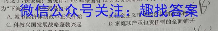 2024届分科综合检测卷(三)历史