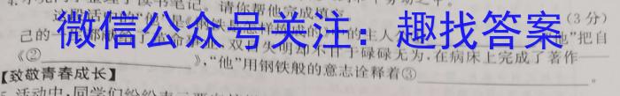 云南省2023年高一期末模拟考试卷（23-529A）语文