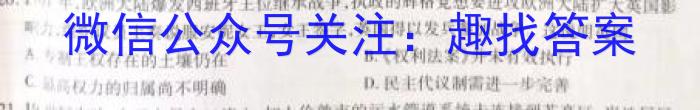 安徽省芜湖市弋江区2022-2023学年度八年级第二学期期末评价历史