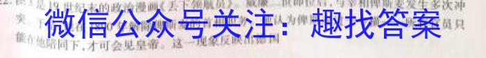 2023年春季学期百色市高普通高中高一年级期末联考教学质量调研测试历史