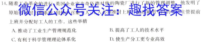 河南省濮阳市2024-2023学年八年级第二学期期末考试试卷历史