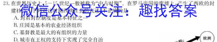 怀仁一中2022-2023学年下学期高二期末考试(23731B)历史