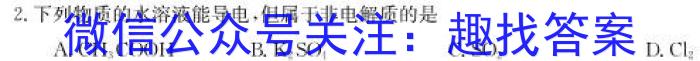 广东省云浮市2024~2023学年高一第二学期高中教学质量检测(23-495A)化学