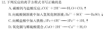2022~2023学年度下学期高一期末考试(23729A)化学