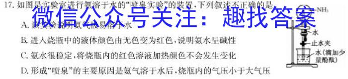 安徽省2024-2023学年度第一学期八年级期末学习评价化学