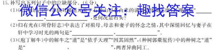 2022~2023学年利辛高级中学高二第二学期第四次质量检测(232809Z)语文