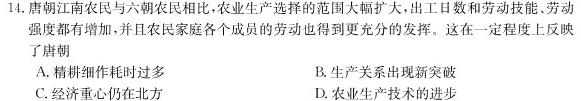 2024届名师原创分科模拟 新S4(六)历史