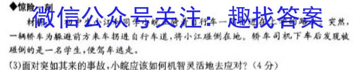 山东省2022-2023学年高中高一年级下学期教学质量检测(2023.07)政治~