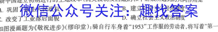 河南省2024~2023学年新乡市高二期末(下)测试(23-550B)历史