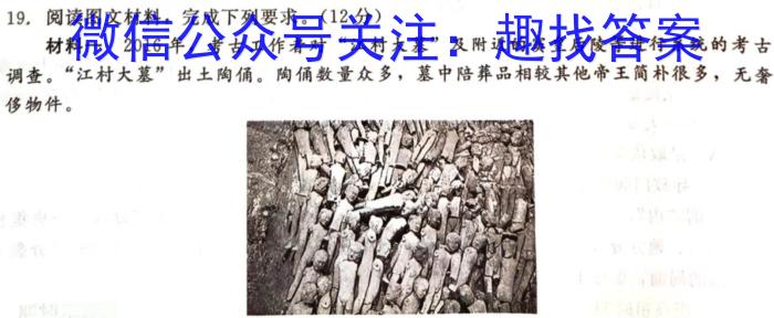 安徽省2022-2023学年度八年级下学期期末检测卷历史试卷