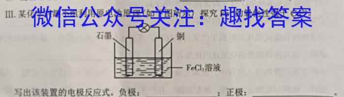 湖南省2023年上学期高二年级期末考试(23-571B)化学