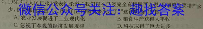 2024届高考滚动检测卷 新教材(六)历史