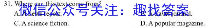 2024届高考滚动检测卷 新教材(四)英语试题