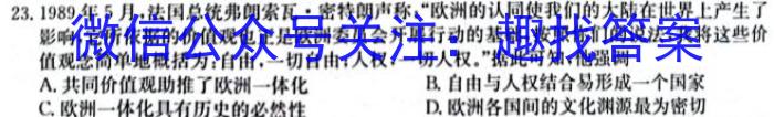 安徽省2022~2023学年度高二第二学期庐阳高级中学期末测试(232827Z)历史