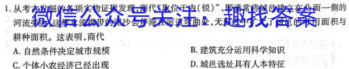 天一大联考 2022-2023学年(下)高二年级期末考试历史