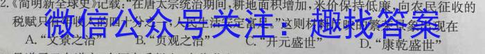 巢湖四中2022~2023年度高一下学期期末考试(231813Z)历史