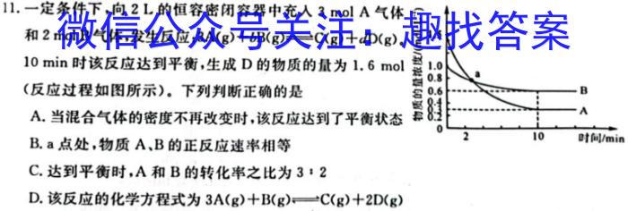 1号卷·2023年A10联盟高一年级(2022级)下学期期末考试化学