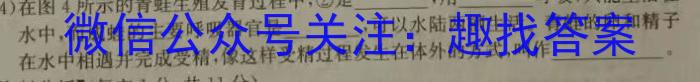 2024届高考滚动检测卷 新教材(二)生物