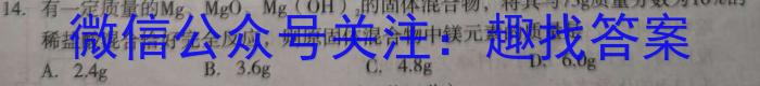 湖南省2023年上学期高一期末化学