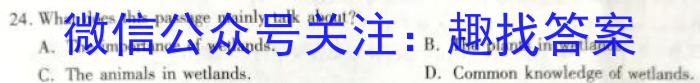 安徽省六安市金寨县2022-2023学年度七年级第二学期期末质量监测英语试题