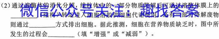 陕西省2024~2023学年第二学期高一年级期末考试(8147A)生物