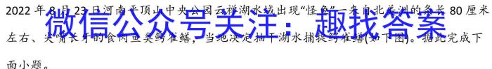 安徽省2024-2023学年高一第二学期三市联合期末检测q地理