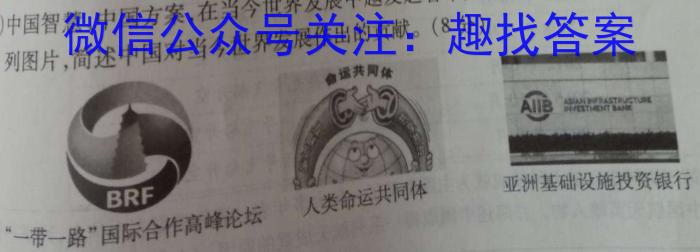 青海省2024-2023学年高一年级第二学期大通县期末联考(231775Z)历史