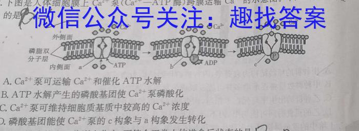 2024届高考滚动检测卷 新教材(四)生物