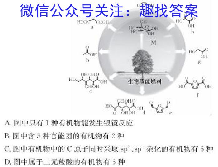 2024届分科综合检测卷(四)化学