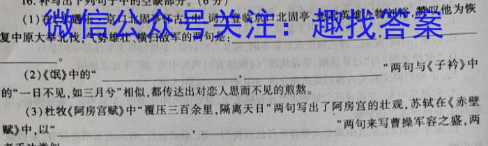 河南省2024届高三年级八月名校联合考试语文