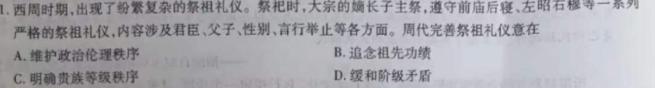 2024届名师原创分科模拟 新S4(六)历史