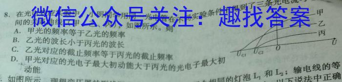 2024届名师原创分科模拟 新S4(二)物理.