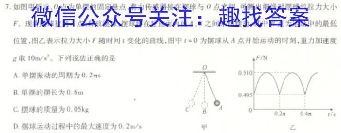 2024届名师原创分科模拟(八)ZS4物理`