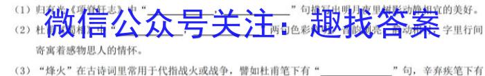 全国大联考2024届高三全国第一次联考 1LK-N语文