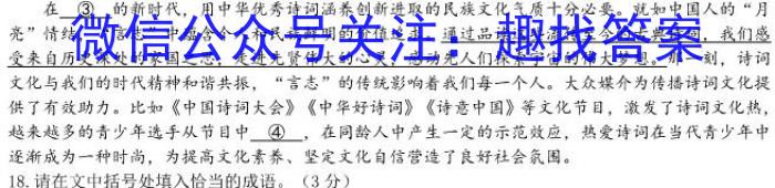 2024届名师原创分科模拟 新S4(二)语文
