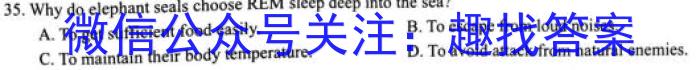 炎德 英才大联考2024届高三暑假作业检测试卷(CJ)英语