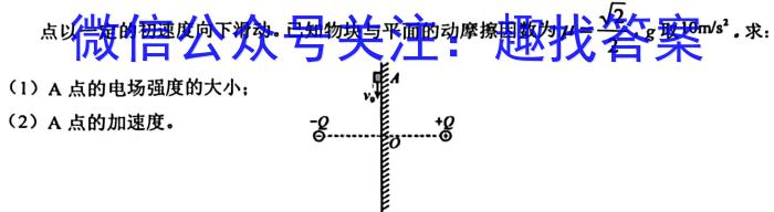 2024届名师原创分科模拟 新S4(一)物理`