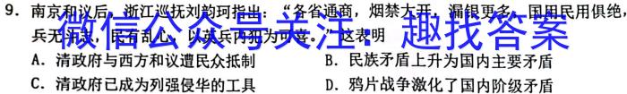 2023年春季学期百色市高普通高中高一年级期末联考教学质量调研测试历史