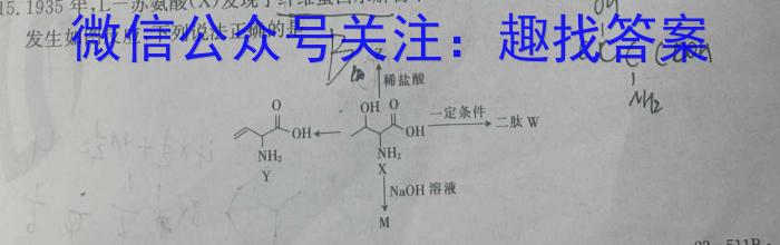 2024届分科综合检测卷(四)化学