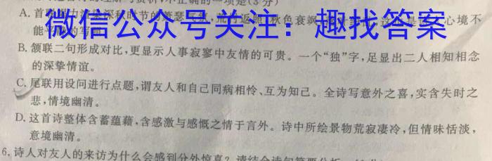 甘肃省2024届新高考备考模拟考试(243014Z)语文