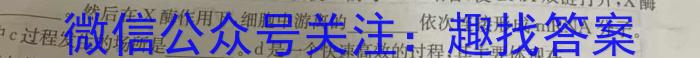 山西省运城市盐湖区2022-2023学年度初一年级第二学期期末质量监测生物