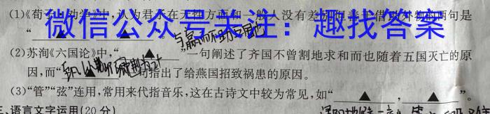 2023年春季学期百色市高普通高中高二年级期末联考教学质量调研测试语文