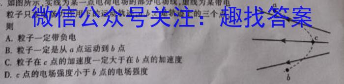 2024届名师原创分科模拟 新S4(六)物理.