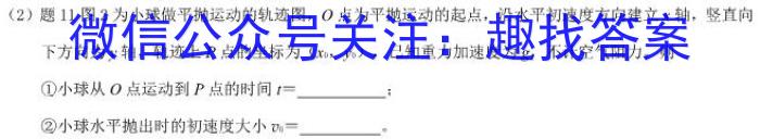 2024届高考滚动检测卷 新教材(四).物理