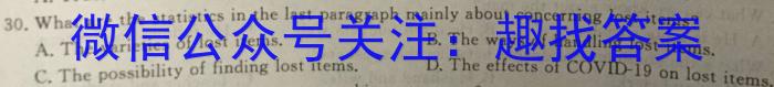 2024届分科综合检测卷(五)英语