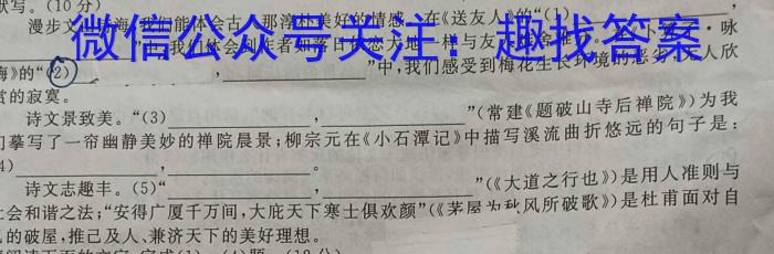 2024届分科综合检测卷(六)语文